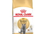 Royal Canin Британская Короткошёрстная 10 кг
