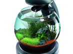 Тетра Cascade Globe аквариумный комплекс - шар 6,8 л 