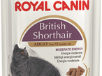 Royal Canin Британская короткошерстная, соус (пауч) 0,085 кг
