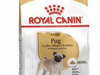 Royal Canin Мопс Эдалт 7,5 кг