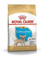 Royal Canin Чихуахуа Паппи 0,5 кг