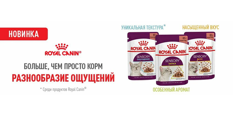 Интернет Магазин Для Животных Иваново Интернет Магазин Для Животных Иваново